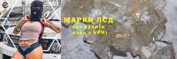 сатива Покачи