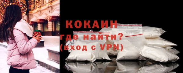 мет Протвино